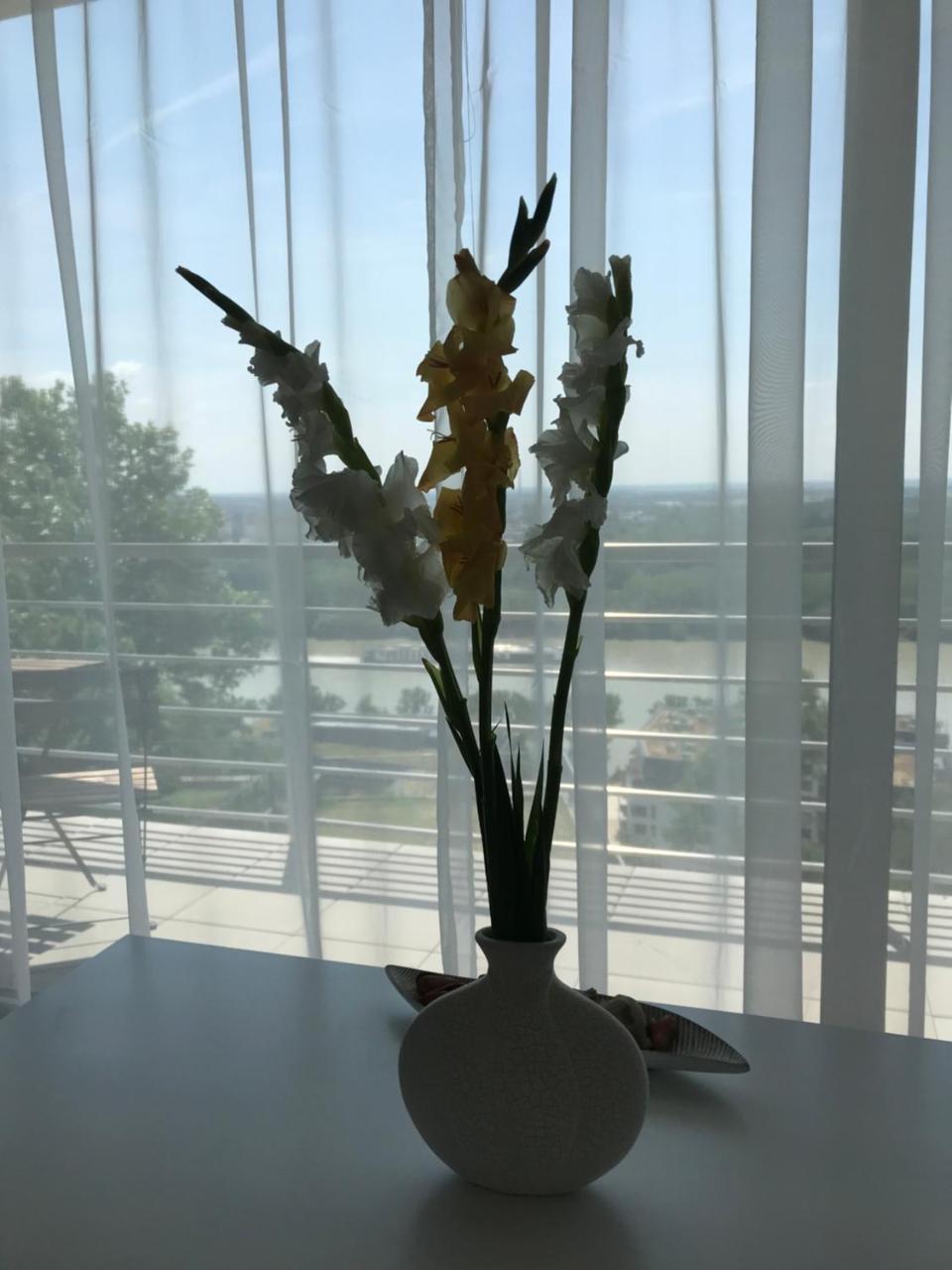 River View Residence Bratislava Luaran gambar
